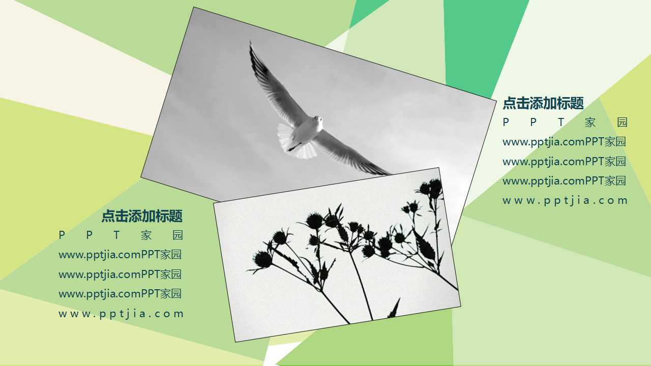 我国CTI技术的发展和未来PPT课件