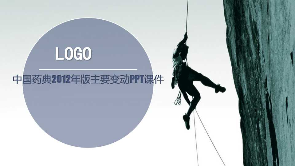 中国药典2012年版主要变动PPT课件