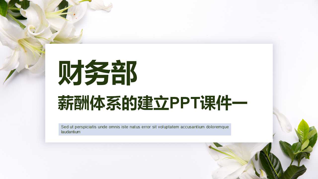 薪酬体系的建立PPT课件一