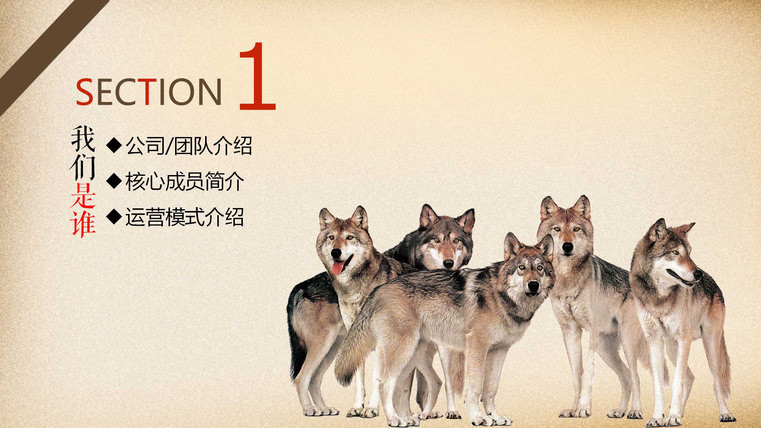 狼的微笑PPT课件