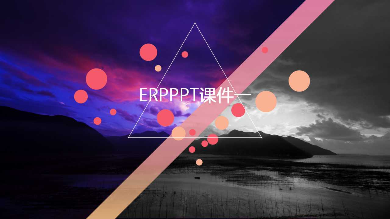 ERPPPT课件一
