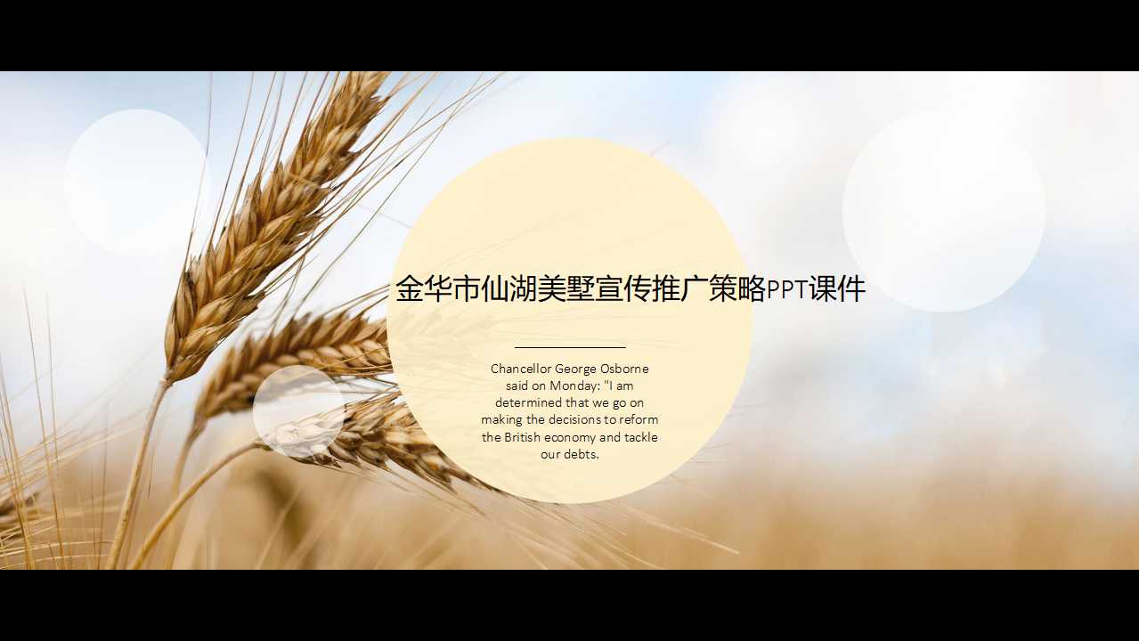 金华市仙湖美墅宣传推广策略PPT课件