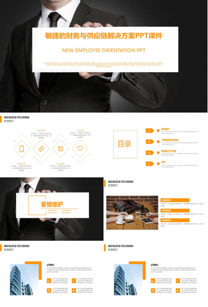敏捷的财务与供应链解决方案PPT课件
