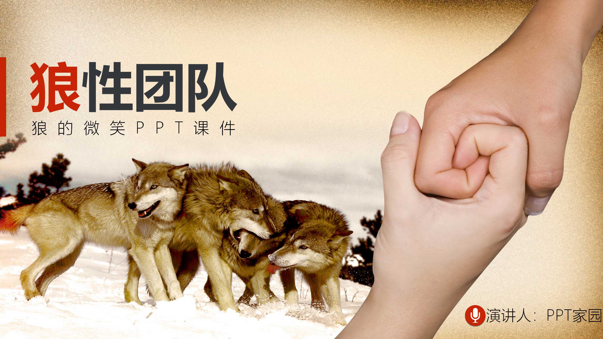 狼的微笑PPT课件