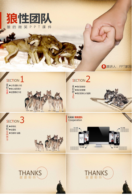 狼的微笑PPT课件