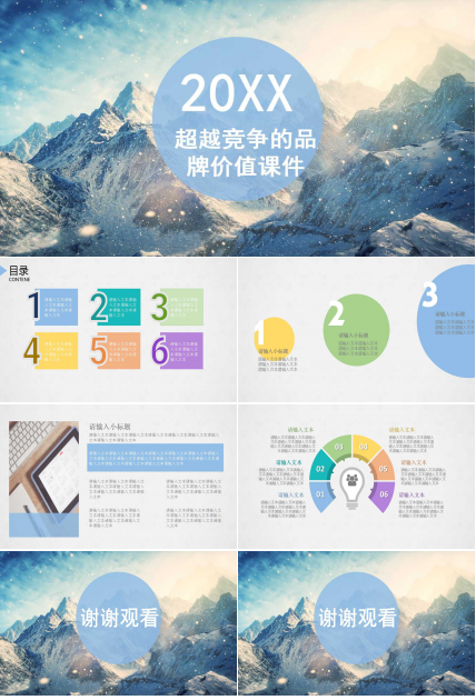 超越竞争的品牌价值PPT课件