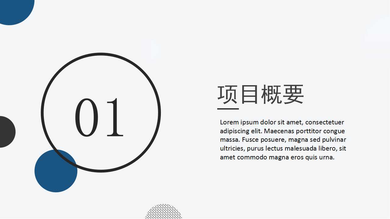 旅游项目策划方案PPT模板