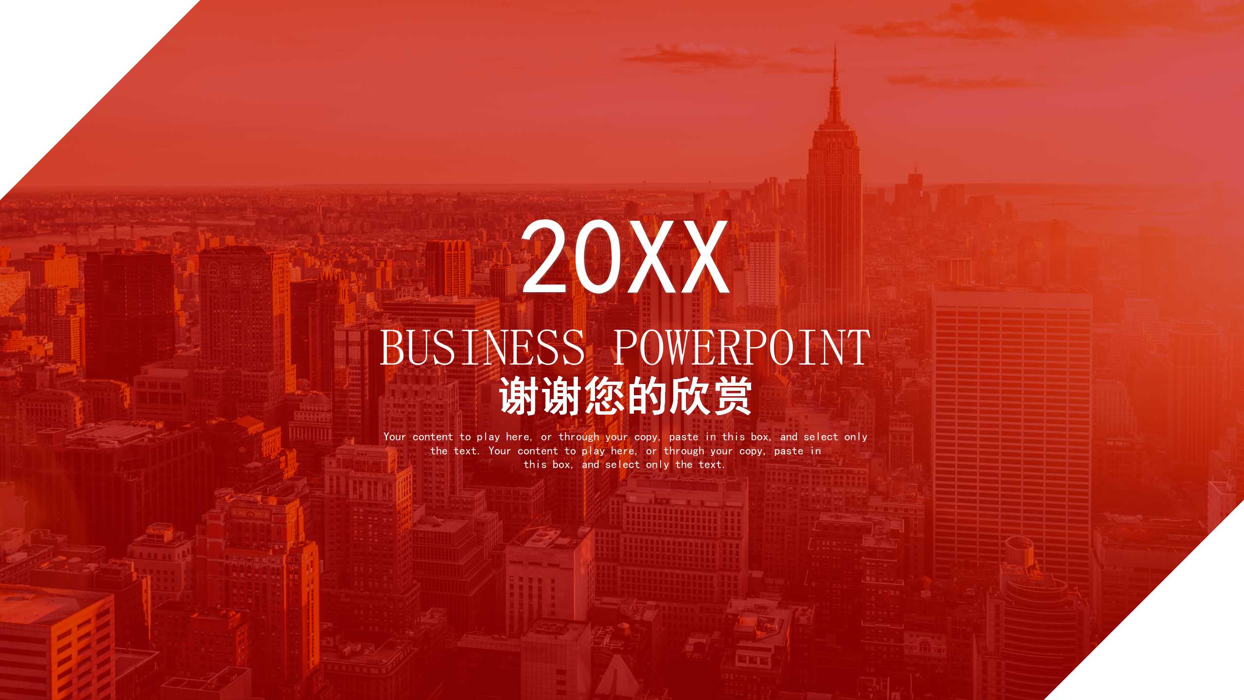 技术投资的策略成本分析PPT课件