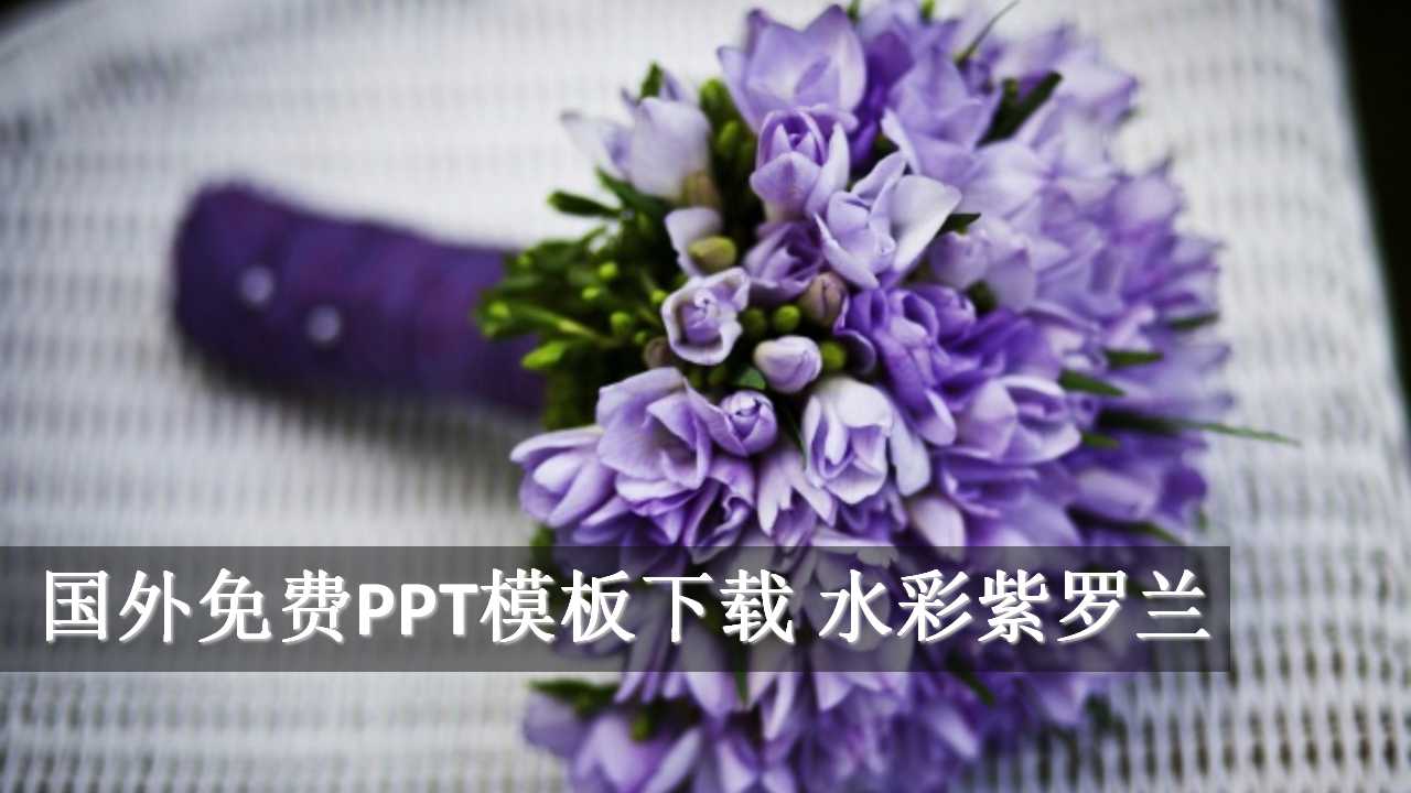 国外免费PPT模板下载 水彩紫罗兰