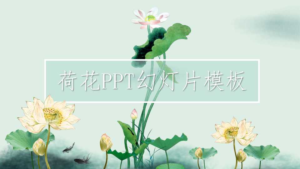 荷花PPT幻灯片模板