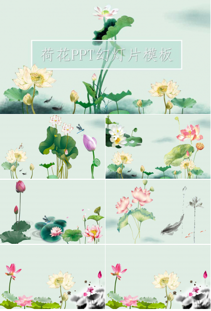 荷花PPT幻灯片模板