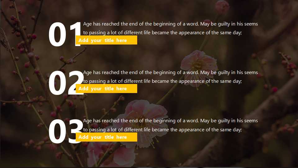 模板PPT下载_梅花背景图