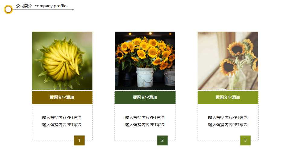 旅游竞争对手分析PPT模板下载
