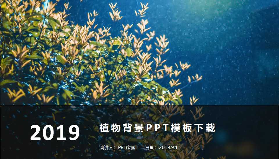植物背景PPT模板下载
