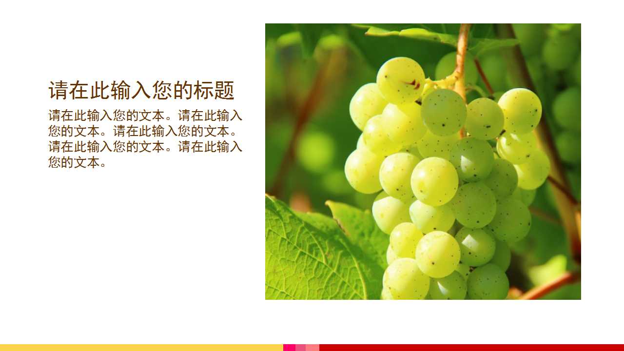 精品PPT模板下载之水果篇