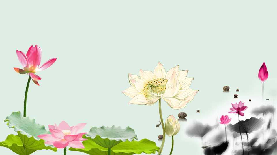 荷花PPT幻灯片模板