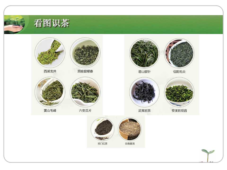 演示PPT模板作品_中国茶道茶艺