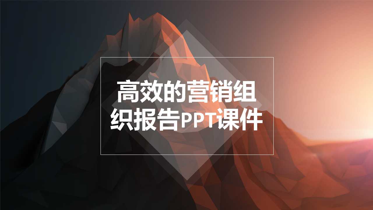 高效的营销组织报告PPT课件