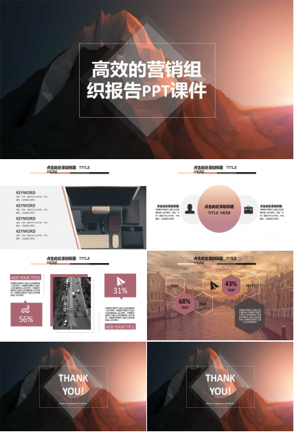 高效的营销组织报告PPT课件