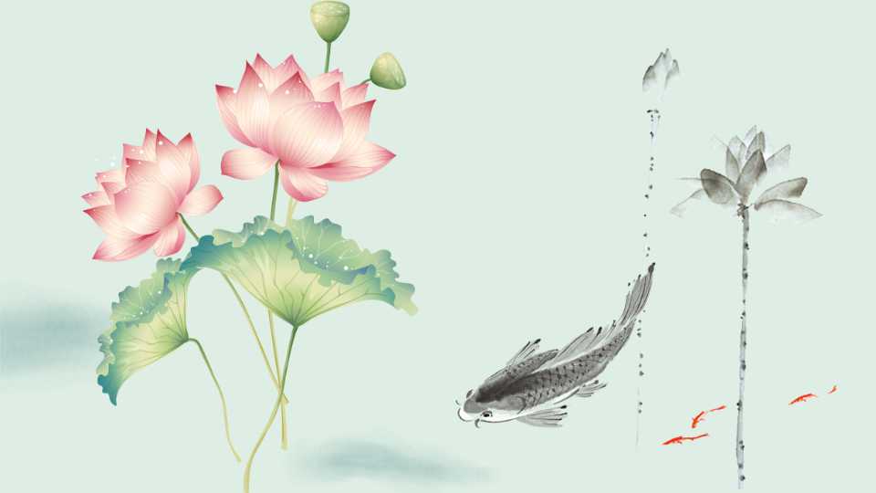 荷花PPT幻灯片模板