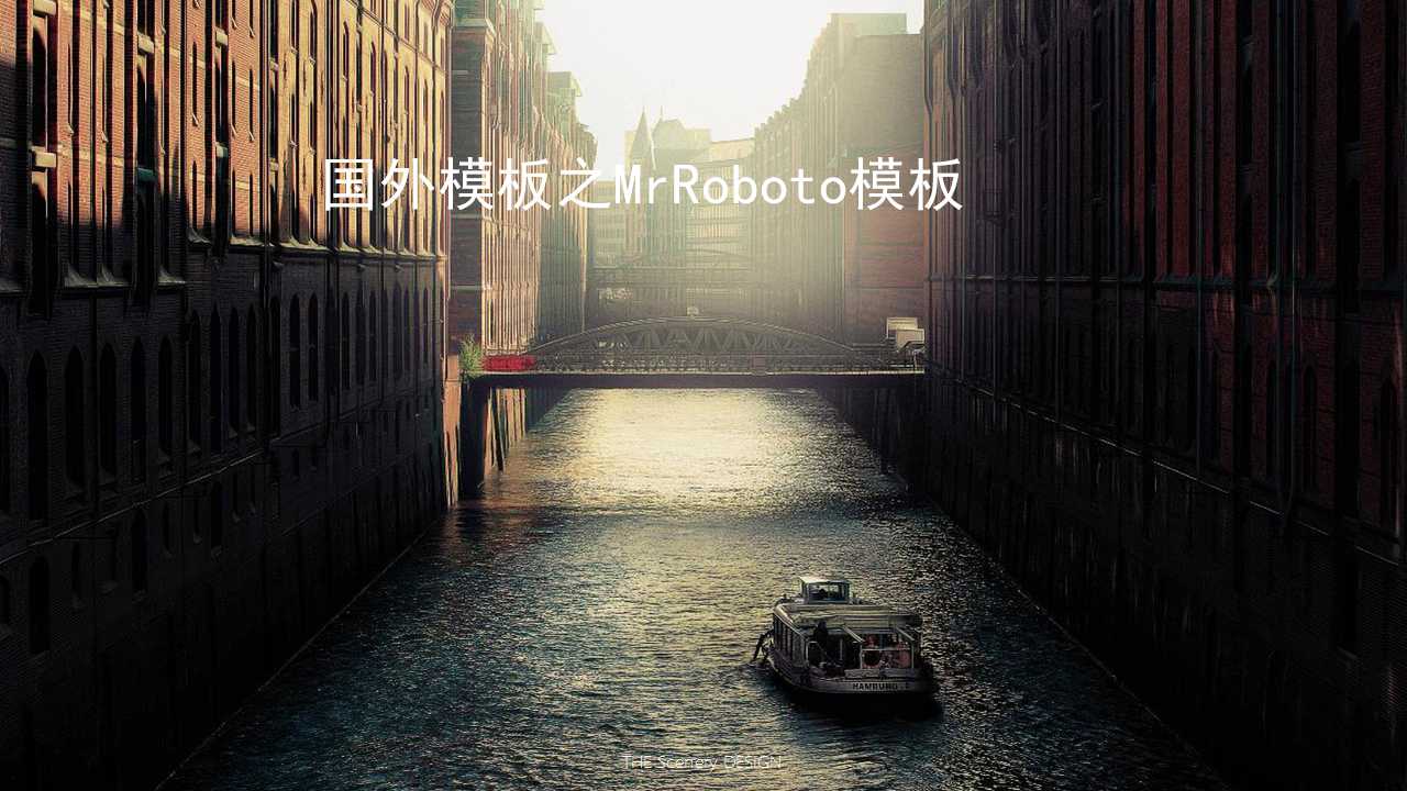国外模板之MrRoboto模板
