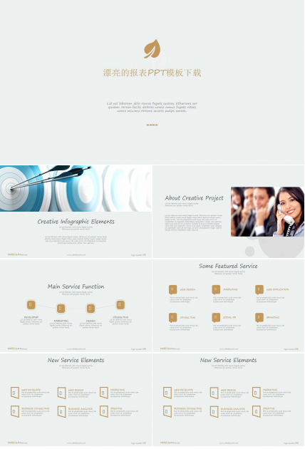 漂亮的报表PPT模板下载