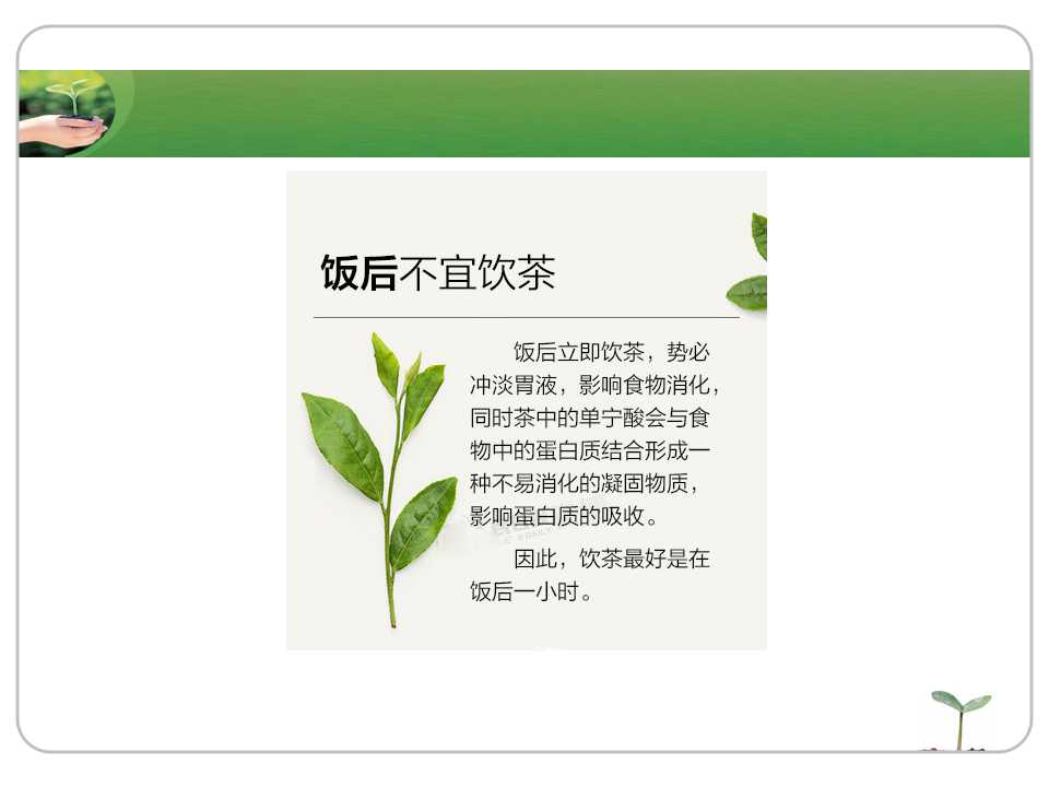 演示PPT模板作品_中国茶道茶艺