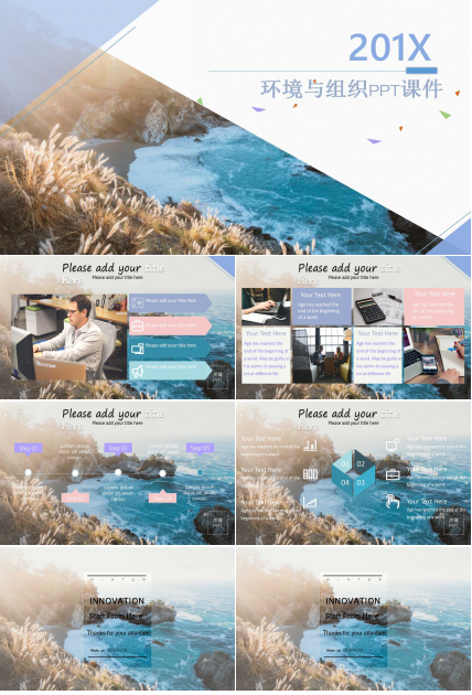 环境与组织PPT课件