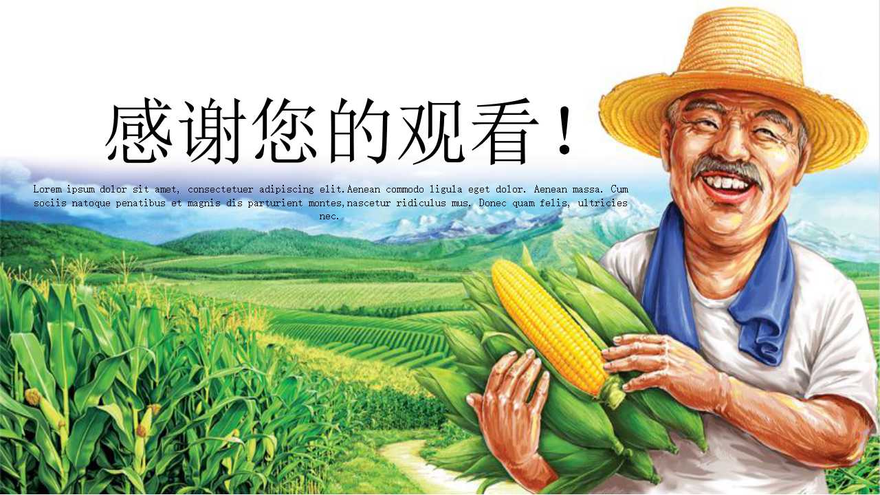 玉米PPT背景模板下载