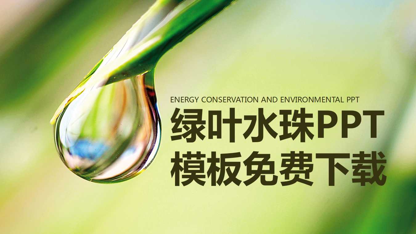 绿叶水珠PPT模板免费下载