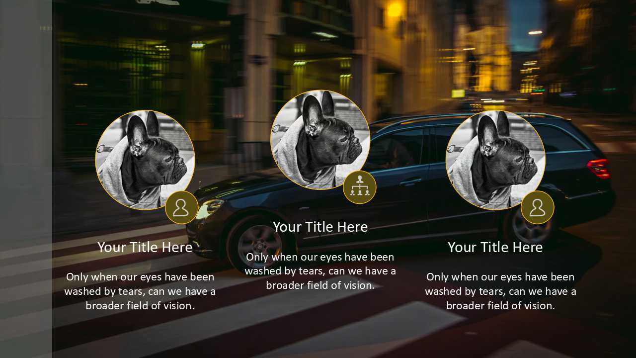 消费者个人认知和经验过程PPT课件