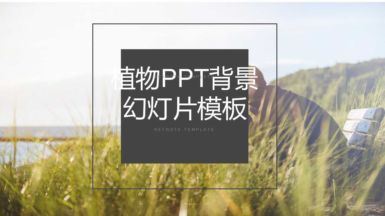 植物PPT背景幻灯片模板