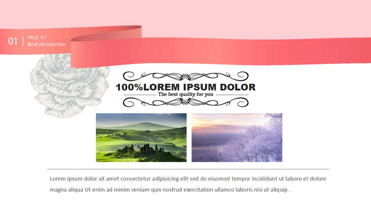 红绿兰图案-可爱的鸟儿