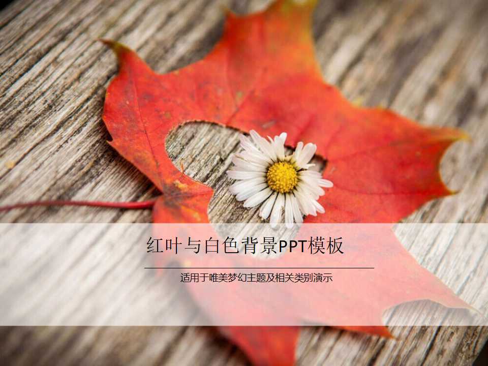 红叶与白色背景PPT模板
