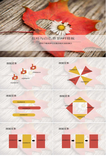 红叶与白色背景PPT模板