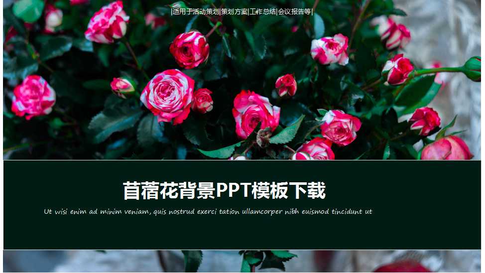 苜蓿花背景PPT模板下载