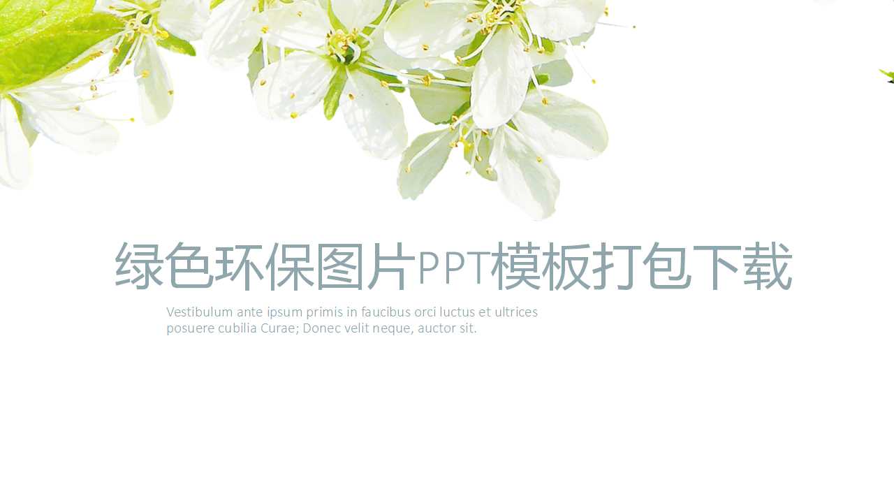 绿色环保图片PPT模板打包下载