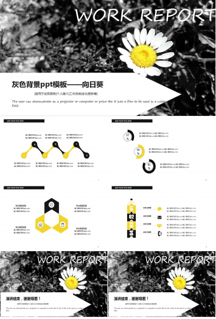 灰色背景ppt模板——向日葵