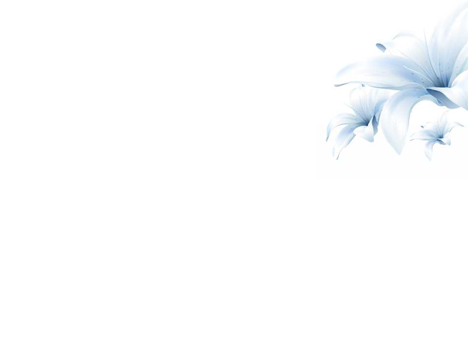 植物PPT：百合花模板