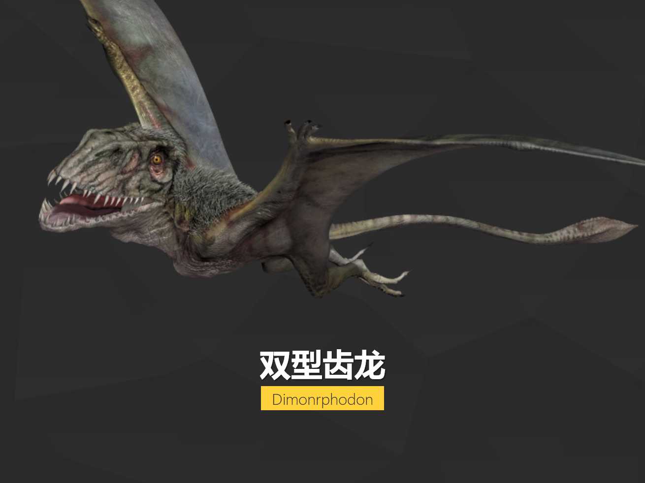 恐龙图片卡通模板PPT
