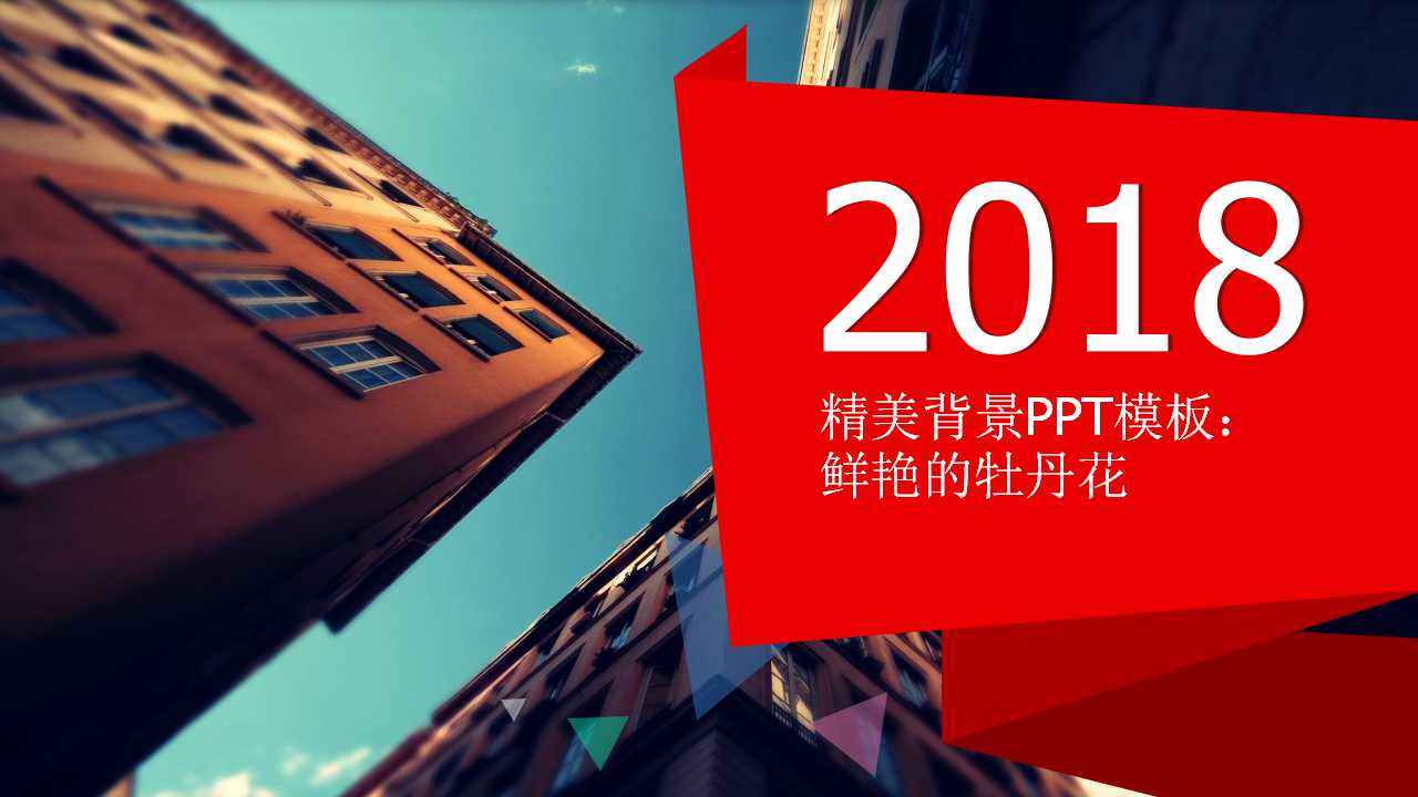 精美背景PPT模板：鲜艳的牡丹花