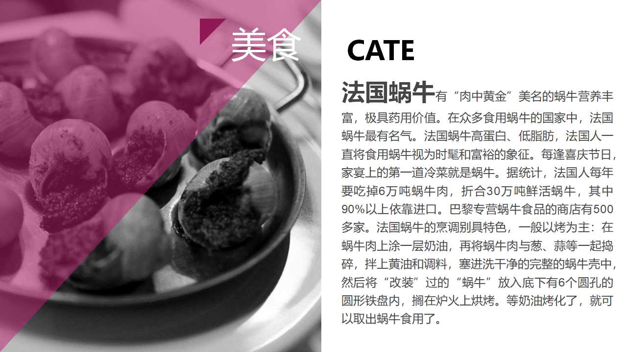 美丽的风光PPT模板下载