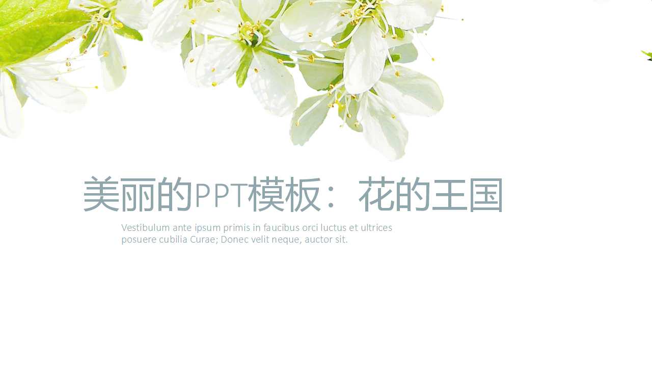 美丽的PPT模板：花的王国