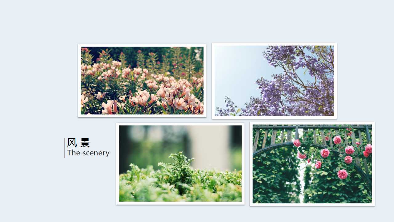 欢乐度假PPT模板打包下载