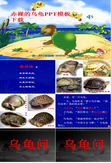 赤裸的乌龟PPT模板下载