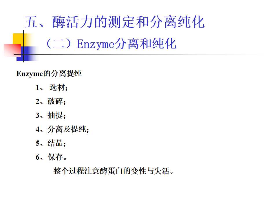 酶的通论PPT模板下载