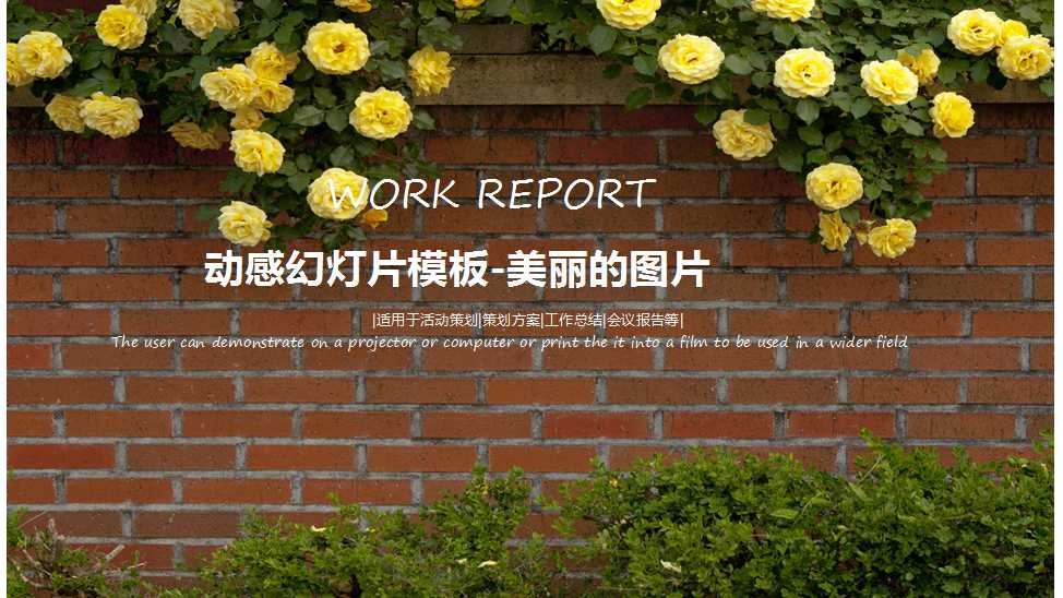 动感幻灯片模板-美丽的图片