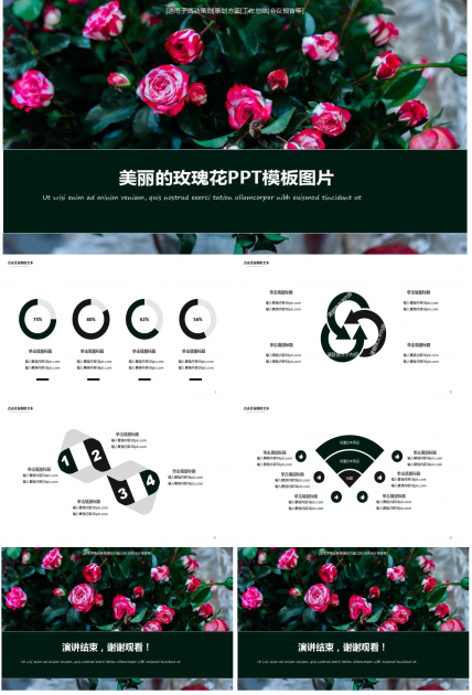 美丽的玫瑰花PPT模板图片