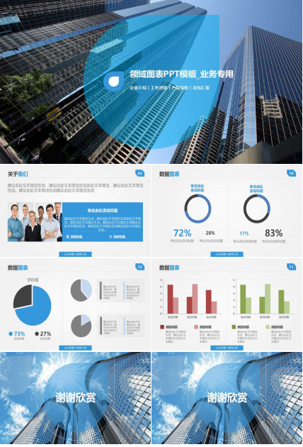 领域图表PPT模板_业务专用