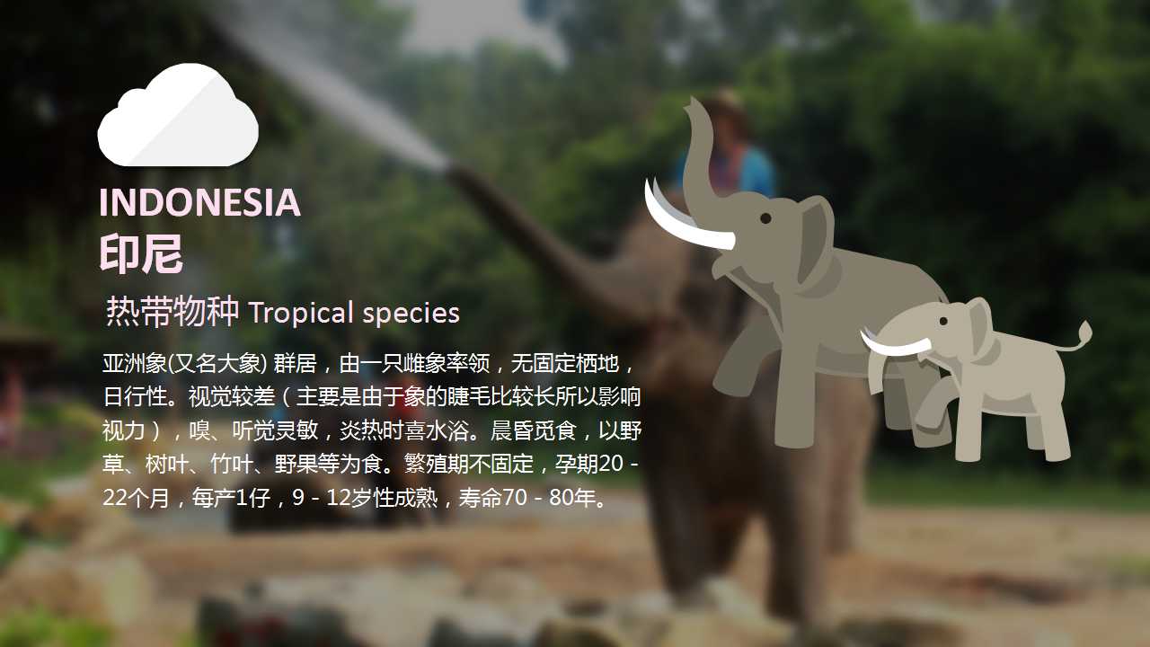 素描手绘旅游旅行主题PPT模板